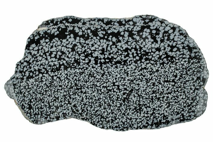 Polished Snowflake Obsidian Slab - Wyoming #336974